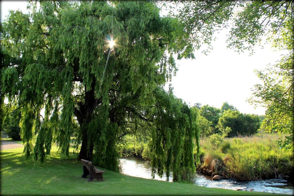 Aqua Terra Guest House Lydenburg Eksteriør bilde